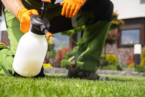 Best Pest Removal Services  in Brewton, AL