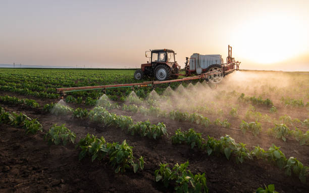 Best Commercial Pest Control Services  in Brewton, AL