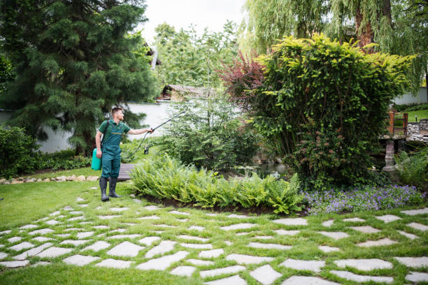 Best Ant Control Services  in Brewton, AL