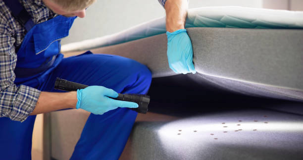 Best Affordable Pest Control Services  in Brewton, AL