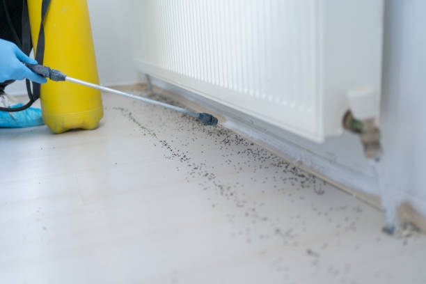 Best Wasp Removal Services  in Brewton, AL