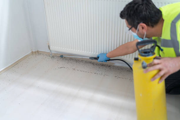 Best Emergency Pest Control  in Brewton, AL